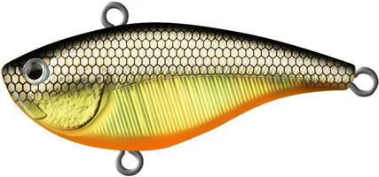 Golden Shiner - 1.5 Inch .1 Oz